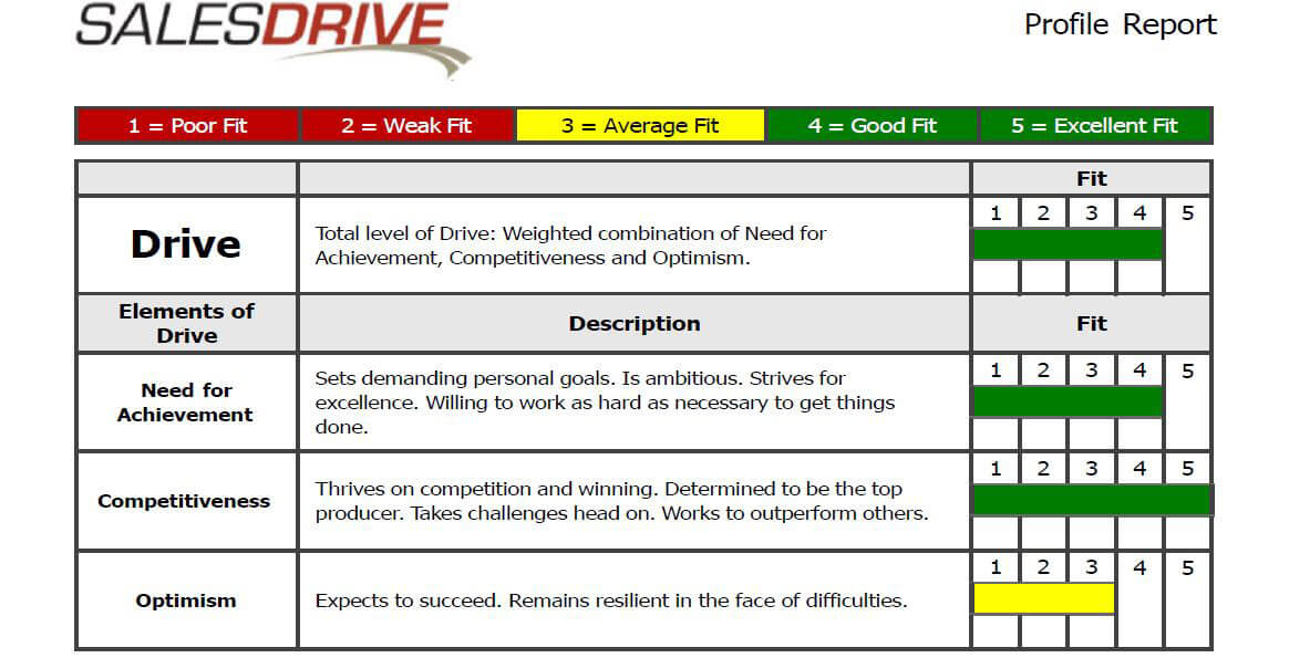 SalesDrive DriveTest Sales Assessment Sample Report