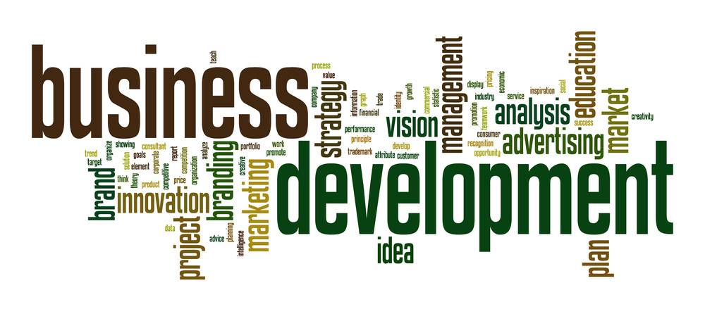 business development word art
